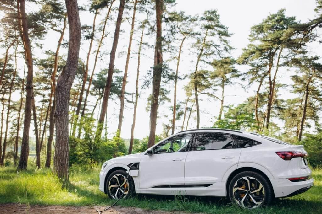 A vehicle being charged via a charging cable in the forest